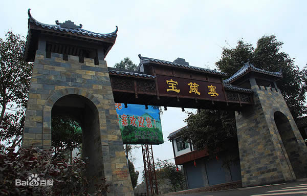 四川广安宝箴塞