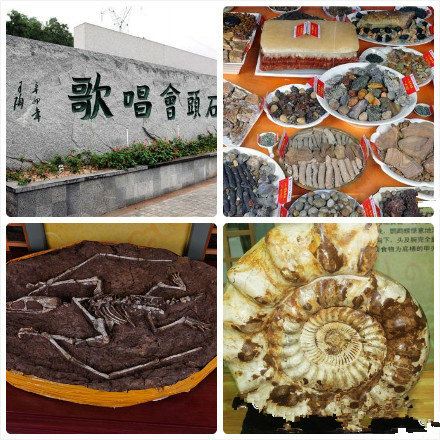 中山南粤石文化博览园